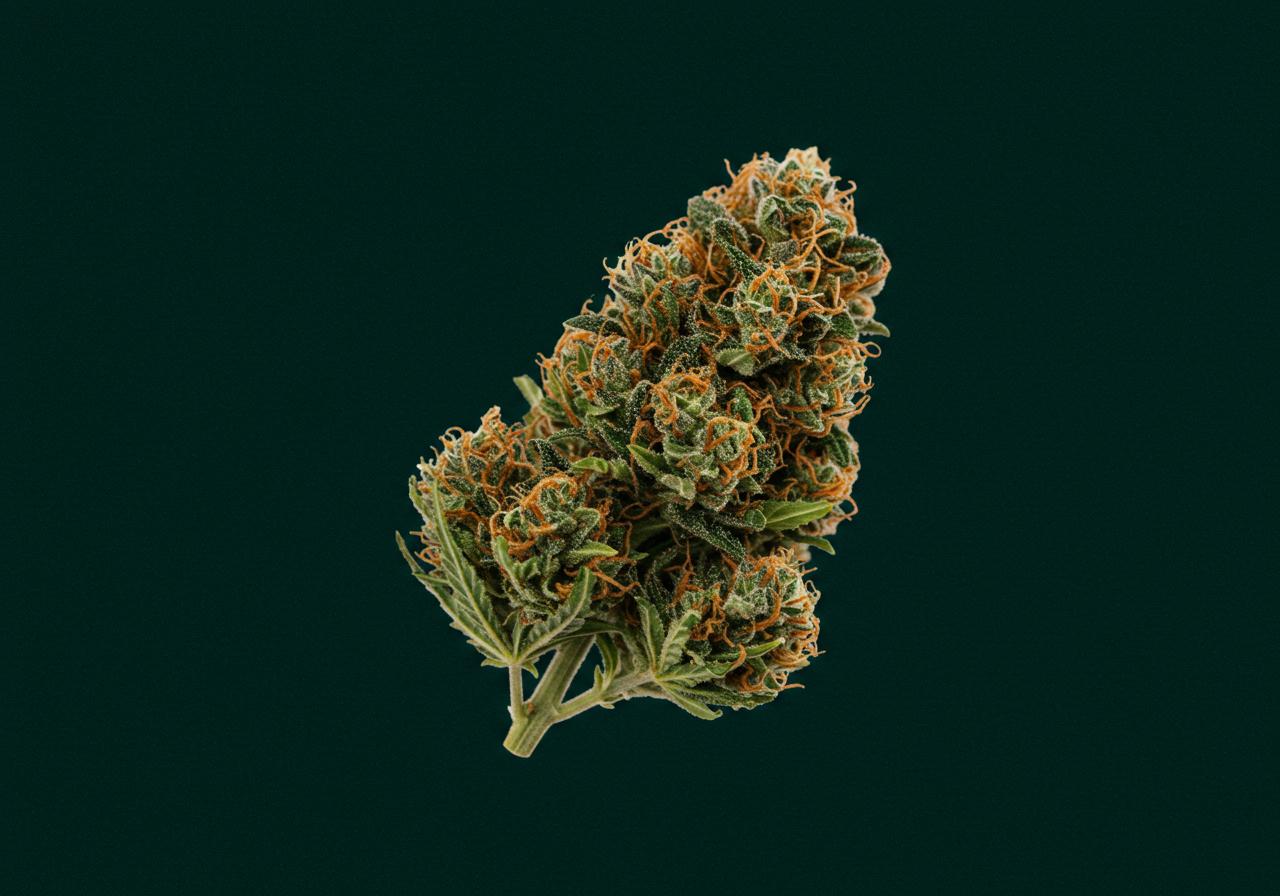  Find Your Perfect Cannabis Strain 